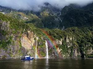 Milford Sound / Piopiotahi