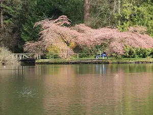 Central Park