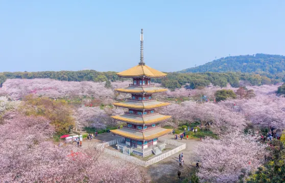 東湖遊船票券成人