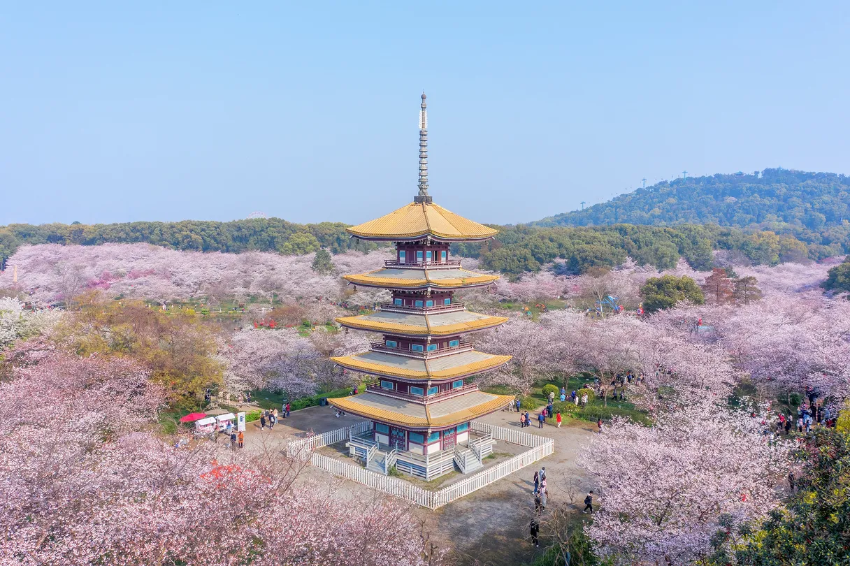 4_Moshan Scenic Area