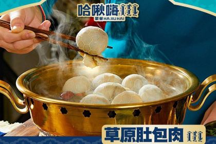 HA JIU HAI