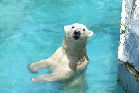 Tennoji Zoo
