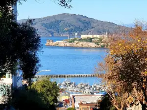 샌프란시스코의 인기 가을 경치