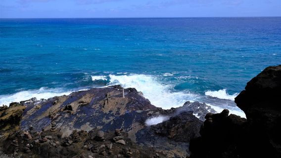 Halona Blow Hole