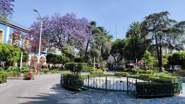 municipal de Texcoco Garden