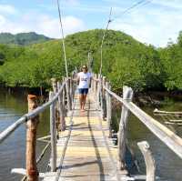 Bounty of mangrove