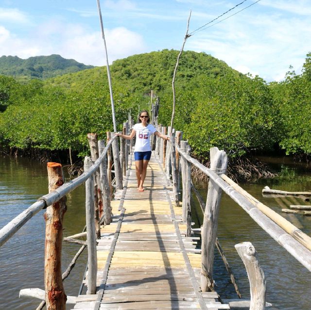 Bounty of mangrove