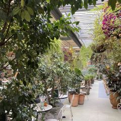 The Grounds of Alexandria User Photo