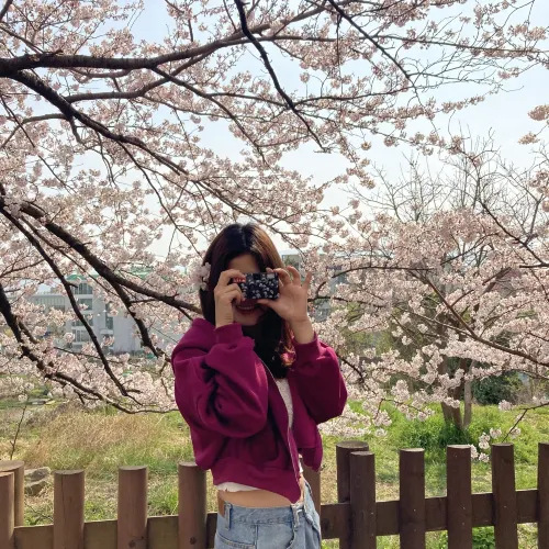 부산 벚꽃명소- 달맞이길
