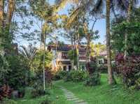 Wellness and Nature
