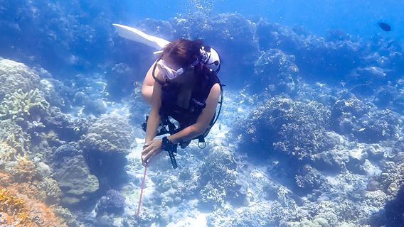 Manado Adventure Diving Center 探潛者PADI中文潛水中心