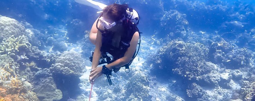 Manado Adventure Diving Center 探潛者PADI中文潛水中心