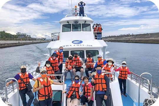 華棋268號-花蓮賞鯨