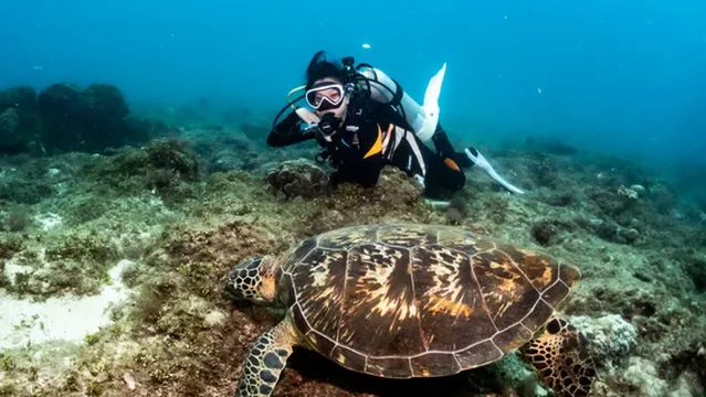 小琉球悠遊潛水
