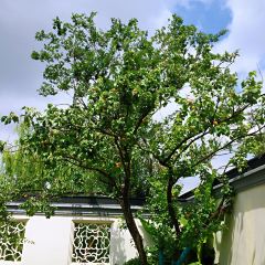 鱼酷活鱼烤鱼(泰华假日广场店) User Photo