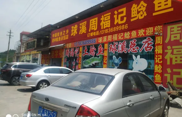 球溪周福記鯰魚總店