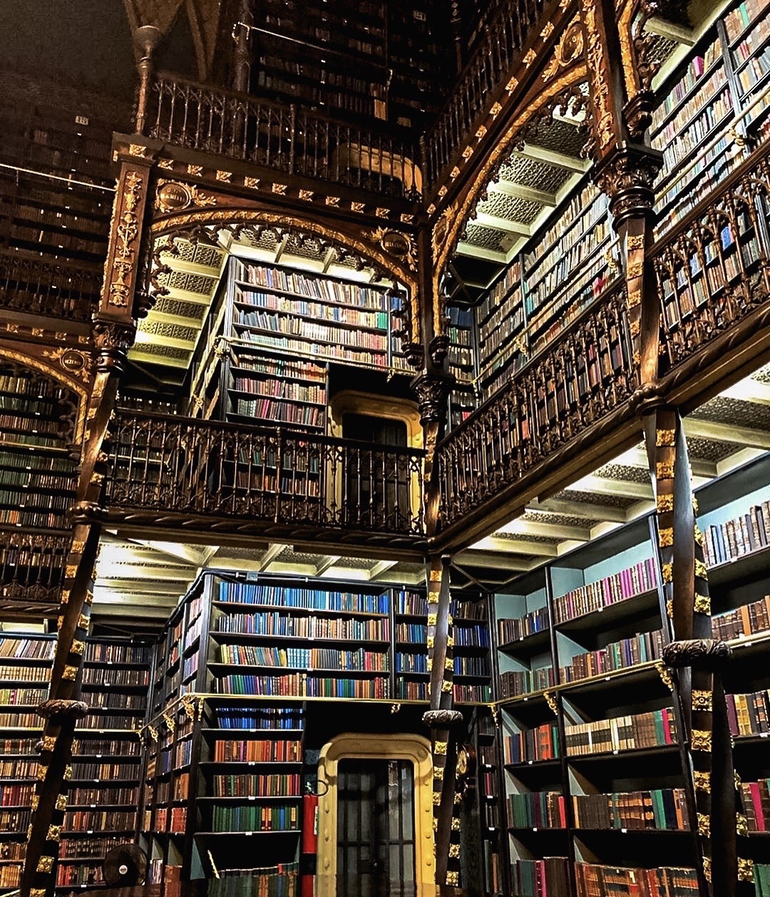 リオデジャネイロ 王立ポルトガル図書館 評判 案内 トリップドットコム リオデジャネイロ 王立ポルトガル図書館 評判 案内 トリップドットコム