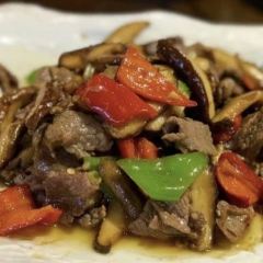 Yun Qin User Photo