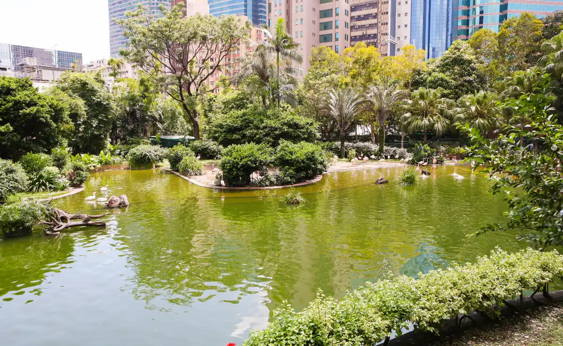 Hotel in zona Parco Kowloon