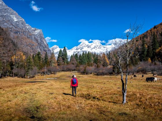 Changping Valley