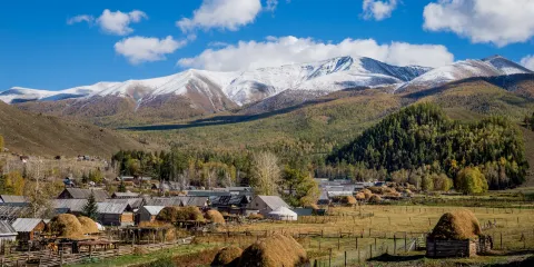 白哈巴森林公園