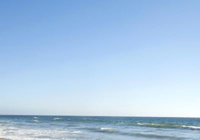 Moon Beach