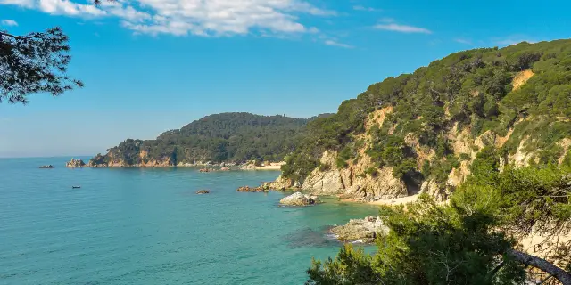 Alt Emporda Travel Guide 2026: Top Attractions, Local Food