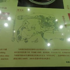马市街食它汤店(解放路店) User Photo
