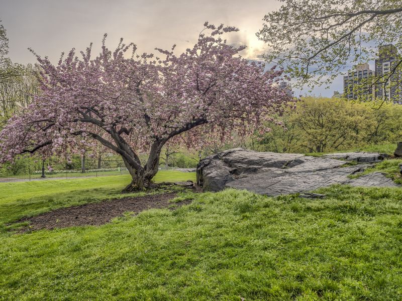 Moerenuma Park