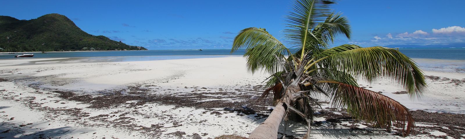 RaiguerPengalaman Unik