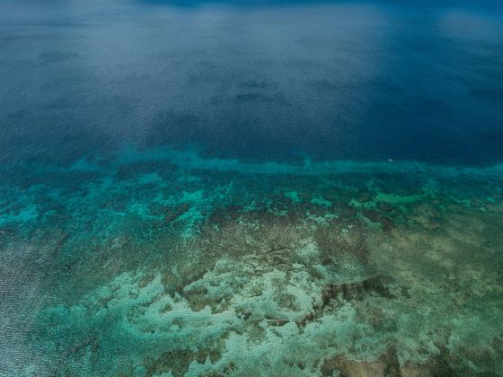 Great Barrier Reef