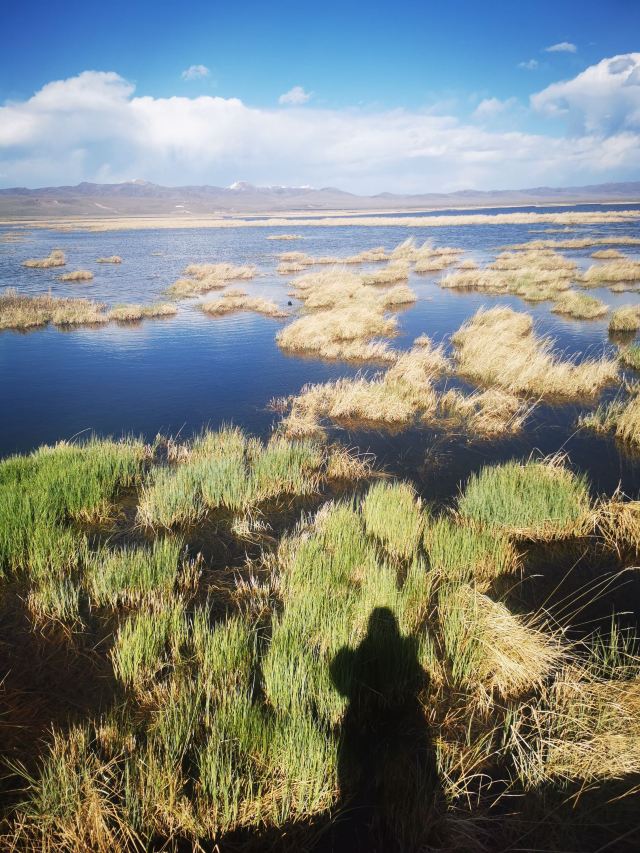 若爾蓋花湖生態旅遊區