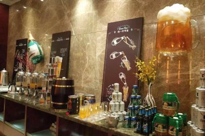 Zhonghaoxi'erdunyilinjiudianxicanzizhu (xicanzizhu)