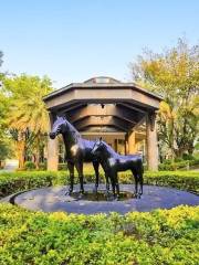 Kimbole Equestrian College