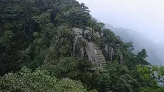 山顶的常绿阔叶林、到山地矮林再到灌草，建立了长期的垂直的观测