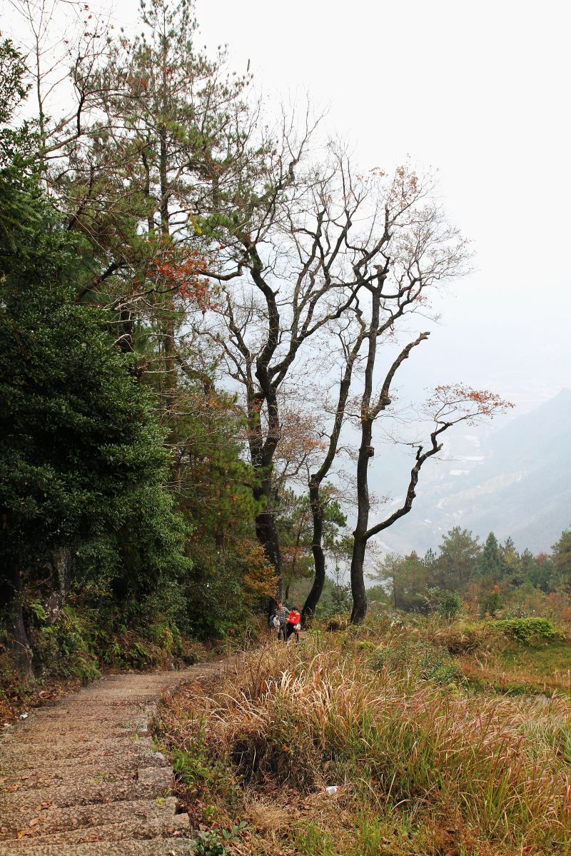 Red Maple Trail