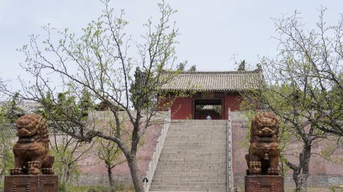 Qing Long Temple