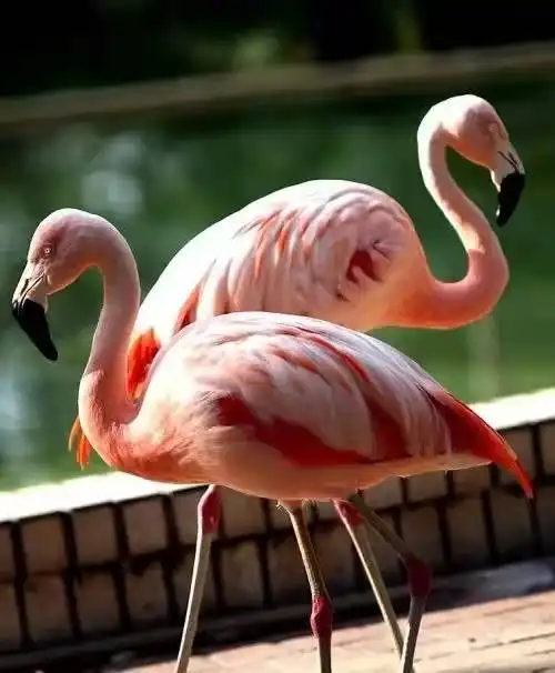 Các khách sạn gần Maoming Forest Park
