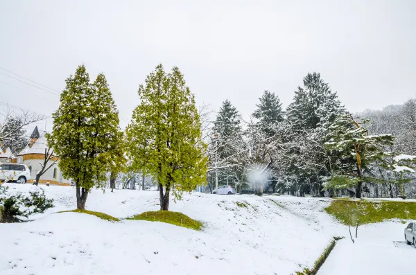 Các khách sạn ở Asahikawa