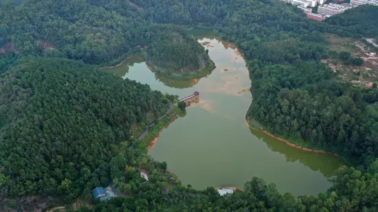 Boluodong Shan Shengji Forest Park