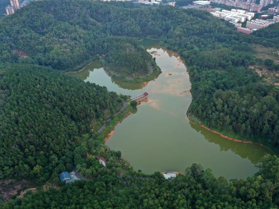 보로둥산/보로동산 산림공원