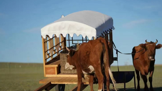 Xilamuren Grassland Pastoral Family Horse Ranch