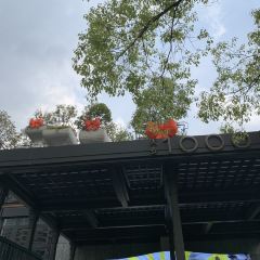 好酒好菜吃鸡公司(大洋晶典天安千树店) 여행 사진