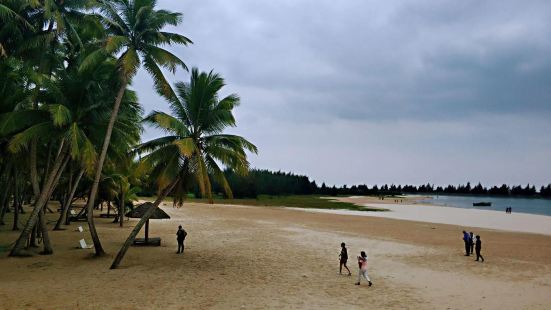 东郊椰林是海南的著名景区，这里有五十多万株椰树，椰树的种类很