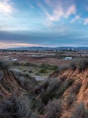 Ballona Wetlands