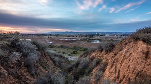 Ballona Wetlands