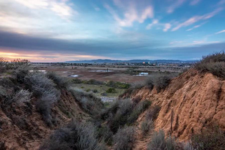 Ballona Wetlands