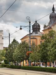 Debrecen Market