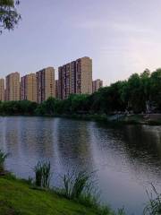 Nanhu Park