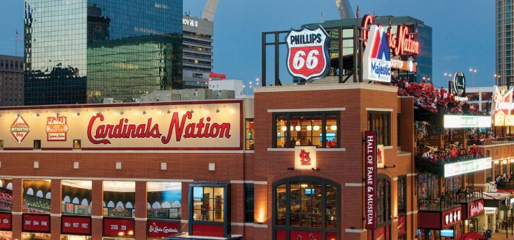 Cardinals Nation